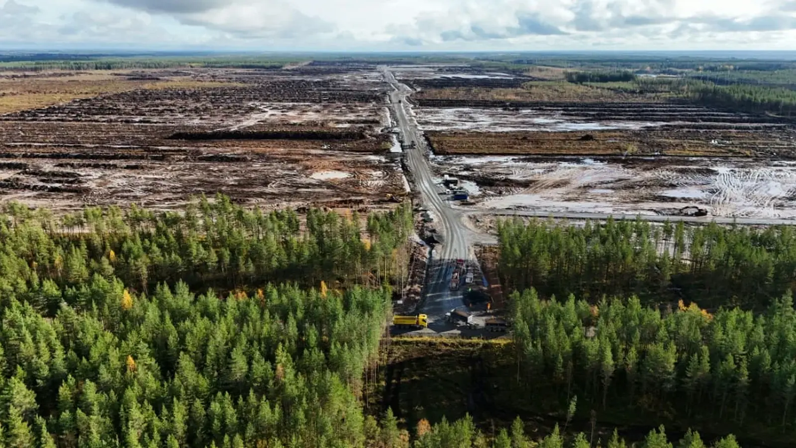 Google anklagas för olaglig skogsavverkning i Finland