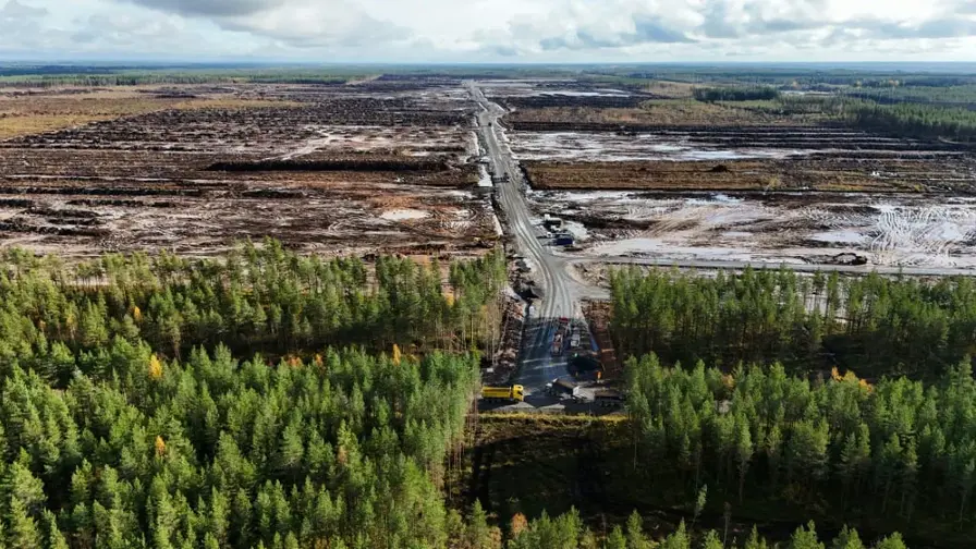 Google anklagas för olaglig skogsavverkning i Finland